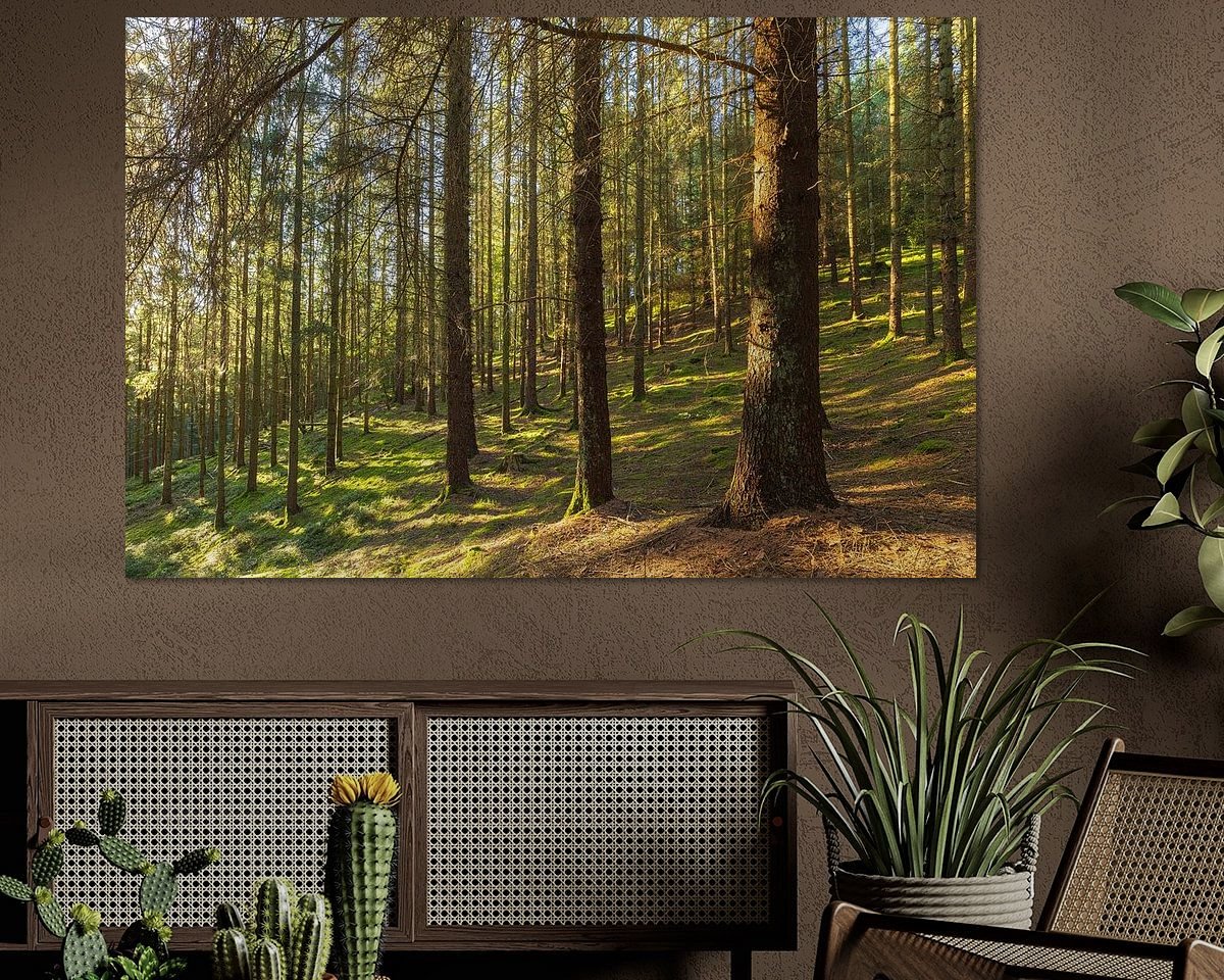 Raumvorschau