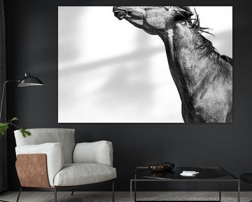 Paard Abstract in Beweging in Zwart-Wit van Femke Ketelaar