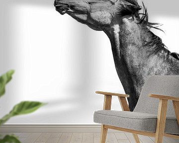 Horse Abstract in Motion in Black and White by Femke Ketelaar
