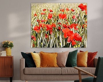 fleurs rouges de coquelicot dans un champ de céréales