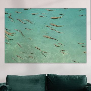 Jiuzhaigou: Wasser, Natur und Fischerei