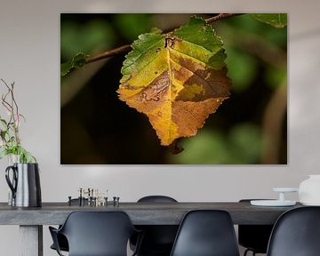 Herbstfarben ...