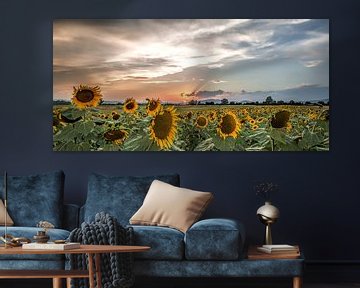 Sunflowersunset by Reint van Wijk