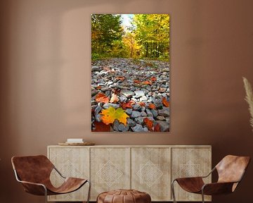 A path in the forest in autumn by Claude Laprise
