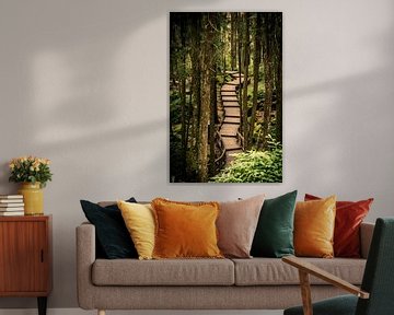 Boardwalk dans le parc national Alishan