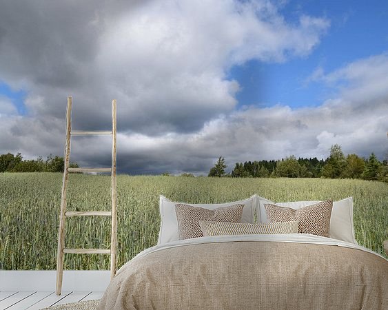 Aperçu de la chambre