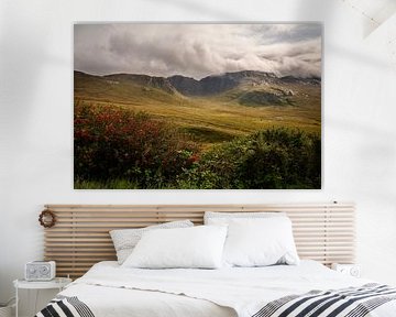Autumn in The Poisoned Glen by Bo Scheeringa Photography