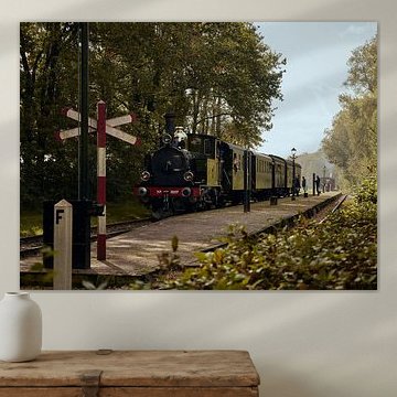 Train à vapeur à l'arrêt de 'Zoutindustrie'