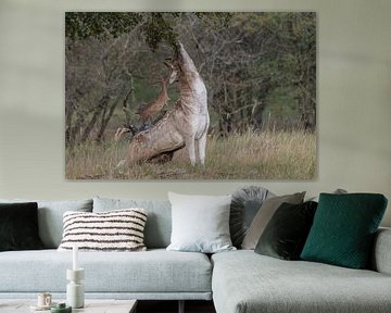 Fallow deer during bronze age by Lies Bakker
