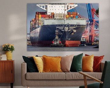 Containerschiffe - Giganten der Logistik von Sabine Wagner