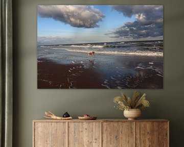 Reflections of Joy from my Bracco Italiano dog Caro at the beach with Sunrise by jpgriffintheauthor