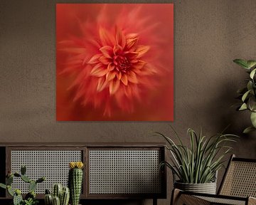 Dahlia blurry red by Dori Heijmans
