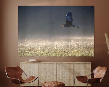 Blue heron flies open-mouthed across the misty field. by AdWF