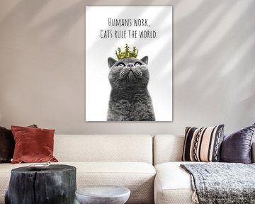 Coole Katze - Der Herrscher