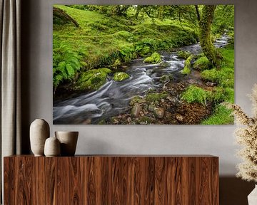 Een rivier landchap in de omgeving van Yelverton van Karin Broekhuijsen