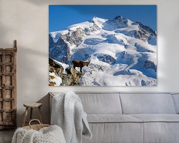 Steenbok voor de Monte Rosa van Menno Boermans