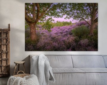 Heather View.