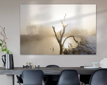 Arbre mort en hiver sur Sjoerd van der Wal Photographie