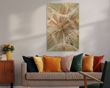 Abstraction: close-up of the golden fluff of a Tragopogon by Marjolijn van den Berg