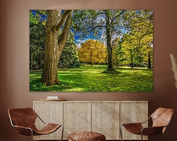 Herfst in het Rengerspark by Harrie Muis