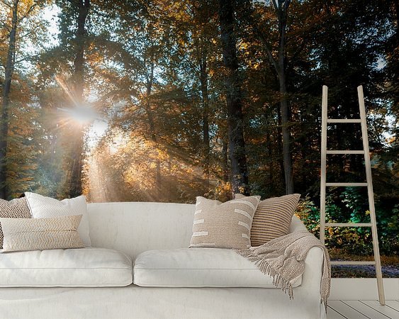Raumvorschau