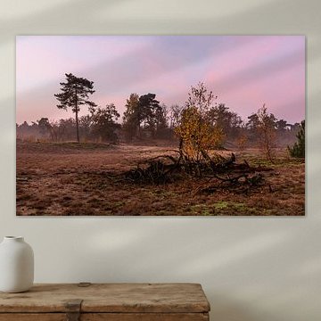 Misty Autumn Twilight 