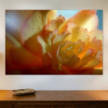 let the sun shine (1)