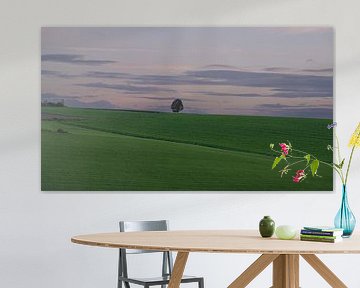 Landschaft im letzten Abendlicht