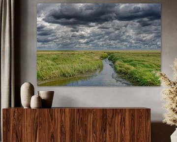 Salzwiesen auf der Halbinsel Eiderstedt,Nationalpark Wattenmeer von Peter Eckert