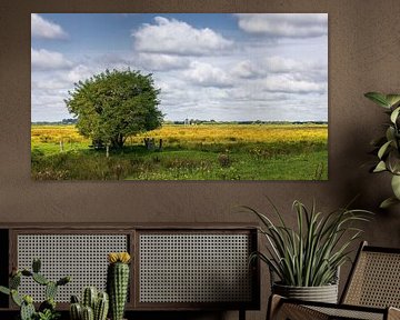 Het natuurgebied de Westerbroekstermadepolder met op de achtergrond de molen De Biks