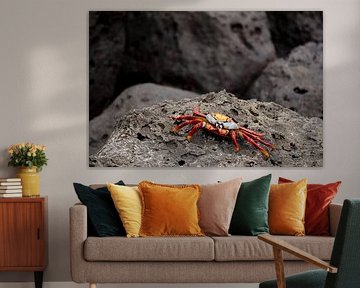Fire on Lava Stone (horizontal) by Sams View