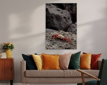Fire on Lava Stone (vertical) by Sams View