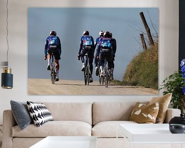 Das Wolfsrudel 2025 Team Kunst Strade von FreddyFinn