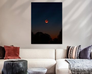 Blood Moon Above the Trees by David Krause