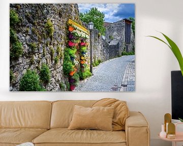 Vertical garden with colourful flower pots on the city wall of