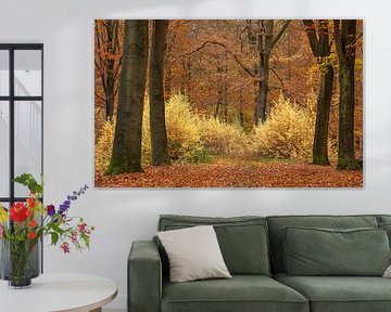 Beautiful autumn colours in yellow and orange in a Drenthe forest by Karin Broekhuijsen
