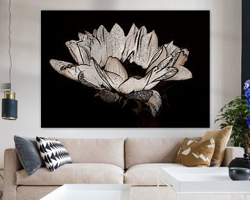 Sunflower ( print ) in sepia. by Jose Lok
