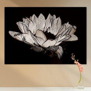 Zonnebloem ( prent ) in sepia.