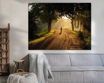 soleil d'automne le matin sur Hans van der Putten