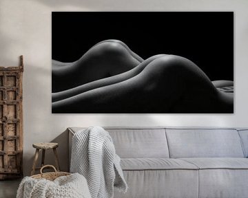 Sculpted Silhouettes – De Poëzie van Twee Lichamen