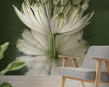 Abstract reflection: Zeeland Knot with reflection in greenery by Marjolijn van den Berg