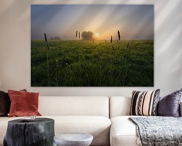 Lever de soleil sur une prairie ancienne sur Jeroen Lagerwerf