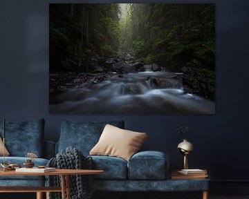 Shadow Creek - Ruisseau avec cascades à travers la forêt sur Jeroen Lagerwerf