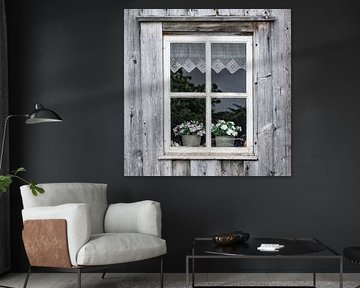 Fenêtre blanche avec plantes
