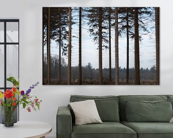 Aperçu de la chambre