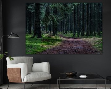 Ruhe und Frieden in den Wäldern von Drenthe von PhotographIris