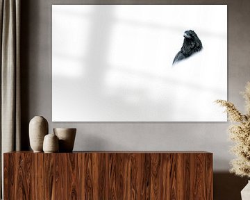Fine art fotoprint raaf in de sneeuw