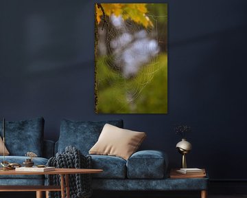 Fijn geweven in herfstlicht van Photoart-Naegele