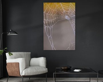 Zijden net in goud licht van Photoart-Naegele