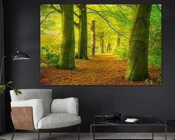 Herbstlicher Sonnenuntergang im Wald auf der Veluwe von Sjoerd van der Wal Fotografie